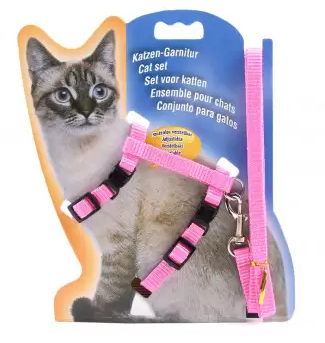 ARNES GATO WONDER CAT