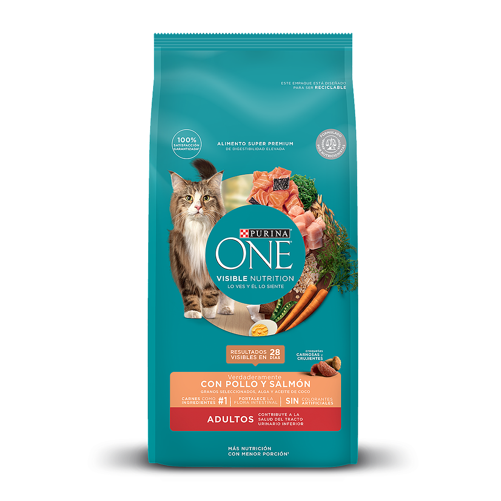 PURINA ONE GATO ADULTO POLLO Y SALMON 6KG