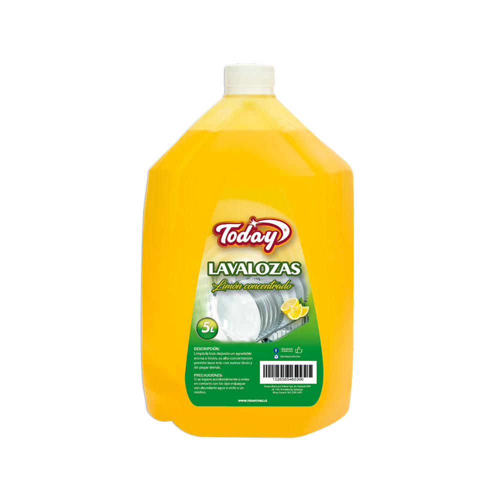 LAVALOZAS CONCENTRADO TODAY LIMON 5LTS