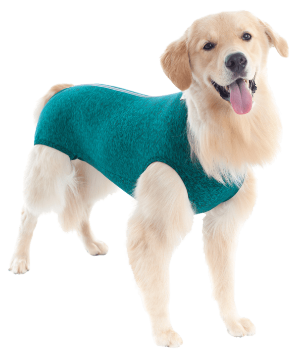 PET MED ROPA POST QUIRURGICA PERRO T-10 (21-27KG) VERDE