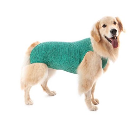 PET MED ROPA POST QUIRURGICA PERRO T-5 (6-8KG) VERDE