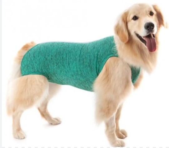 PET MED ROPA POST QUIRURGICA PERRO T-6 (8-10KG) VERDE