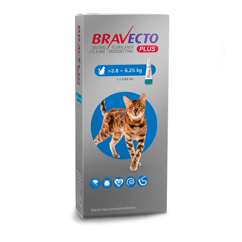 BRAVECTO PLUS GATO 2.8 - 6.25KG