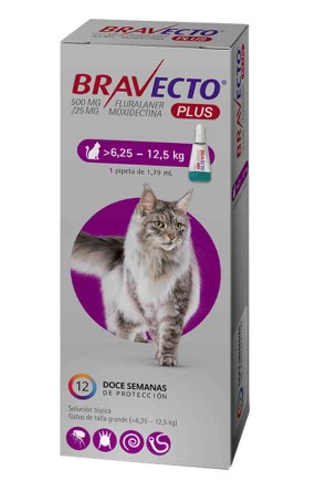 BRAVECTO PLUS GATO 6.25 - 12.5KG
