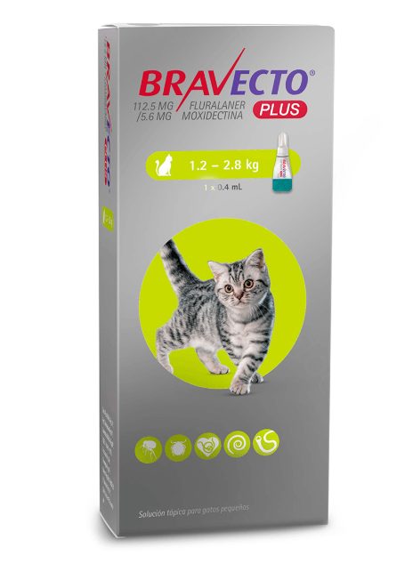 BRAVECTO PLUS GATO 1.2 - 2.8KG
