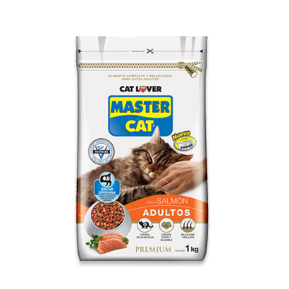 SACO MASTER CAT SALMON 20KG