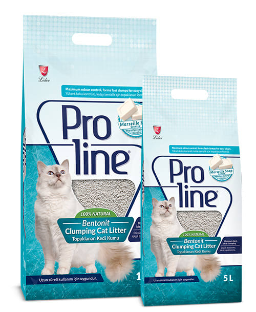 ARENA SANITARIA PROLINE MARSEILLE SOAP 8.5KG/10LT