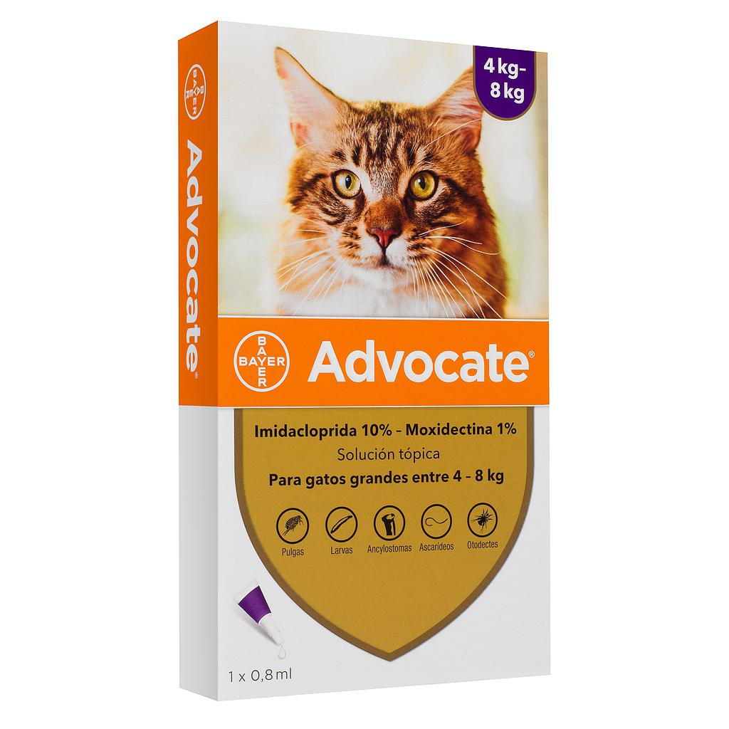 PIPETA ADVOCATE GATO DE 4 - 8 KG