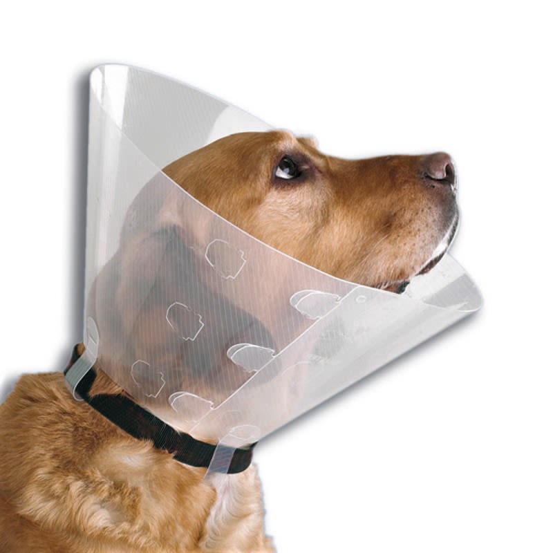 COLLAR ISABELINO N°7 (30CM)