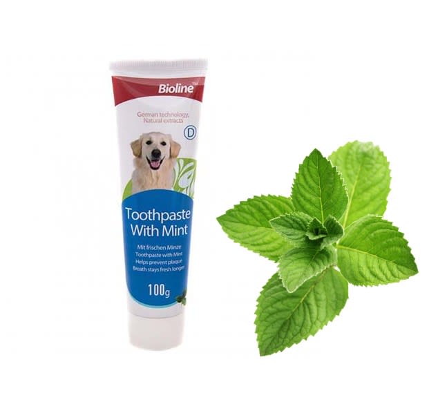 PASTA DENTAL BIOLINE SABOR MENTA 100G