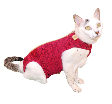 PET MED ROPA POST QUIRURGICA GATO T-2 (3-3.8KG) ROJO
