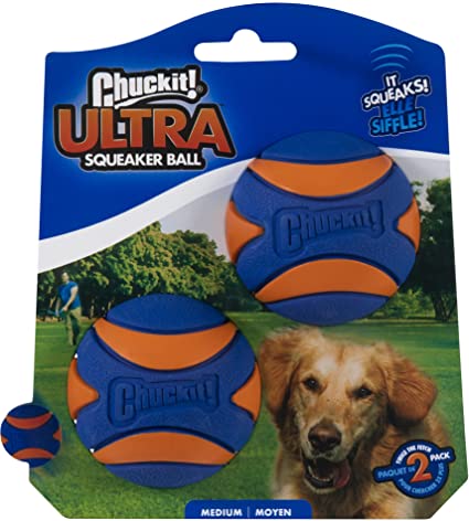 PELOTA SONORA MEDIUM 2UN CHUCKIT