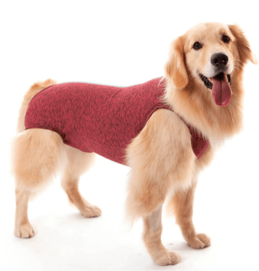 PET MED ROPA POST QUIRURGICA PERRO T-8 (13-16KG) ROJO