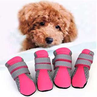 ZAPATOS PARA PERRO T-S