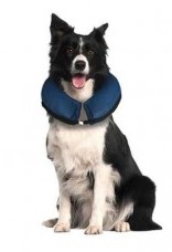 COLLAR INFLABLE MARBEN PETS T-M