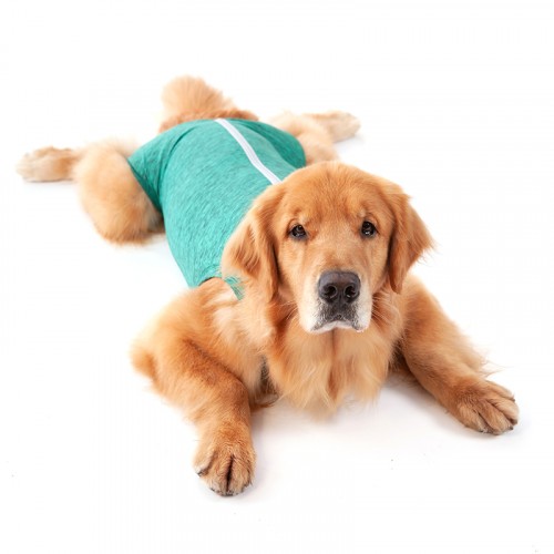 PET MED ROPA POST QUIRURGICA PERRO T-7 VERDE
