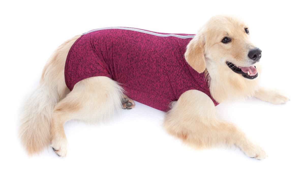 PET MED ROPA POST QUIRURGICA PERRO T-8 (13-16KG) ROJO