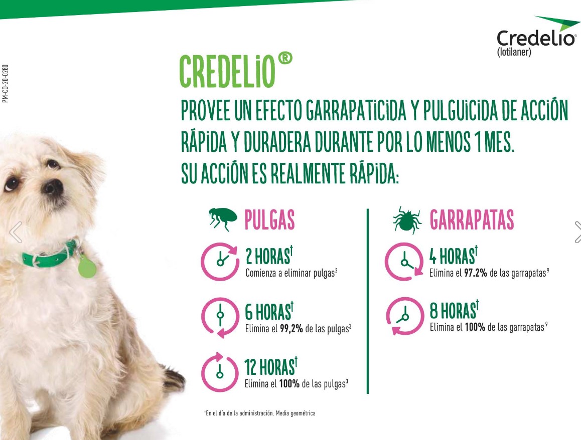 CREDELIO 11-22KG 3 COMP.