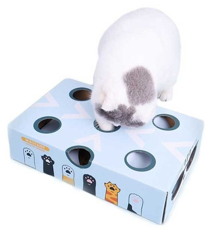 JUGUETE INTERACTIVO CAJA CON BOLA