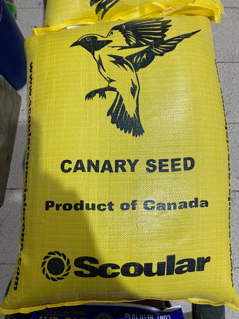 SACO ALPISTE CANADIENSE 25KG